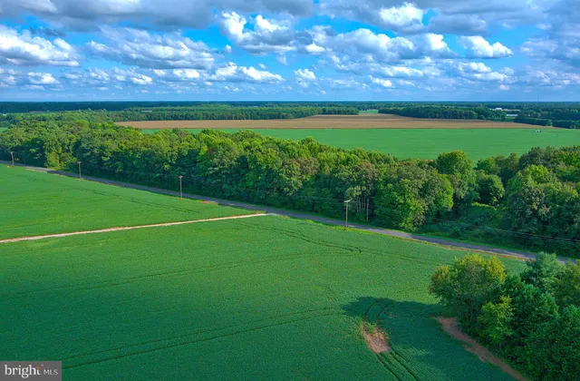 a view of a golf course with a big yard
