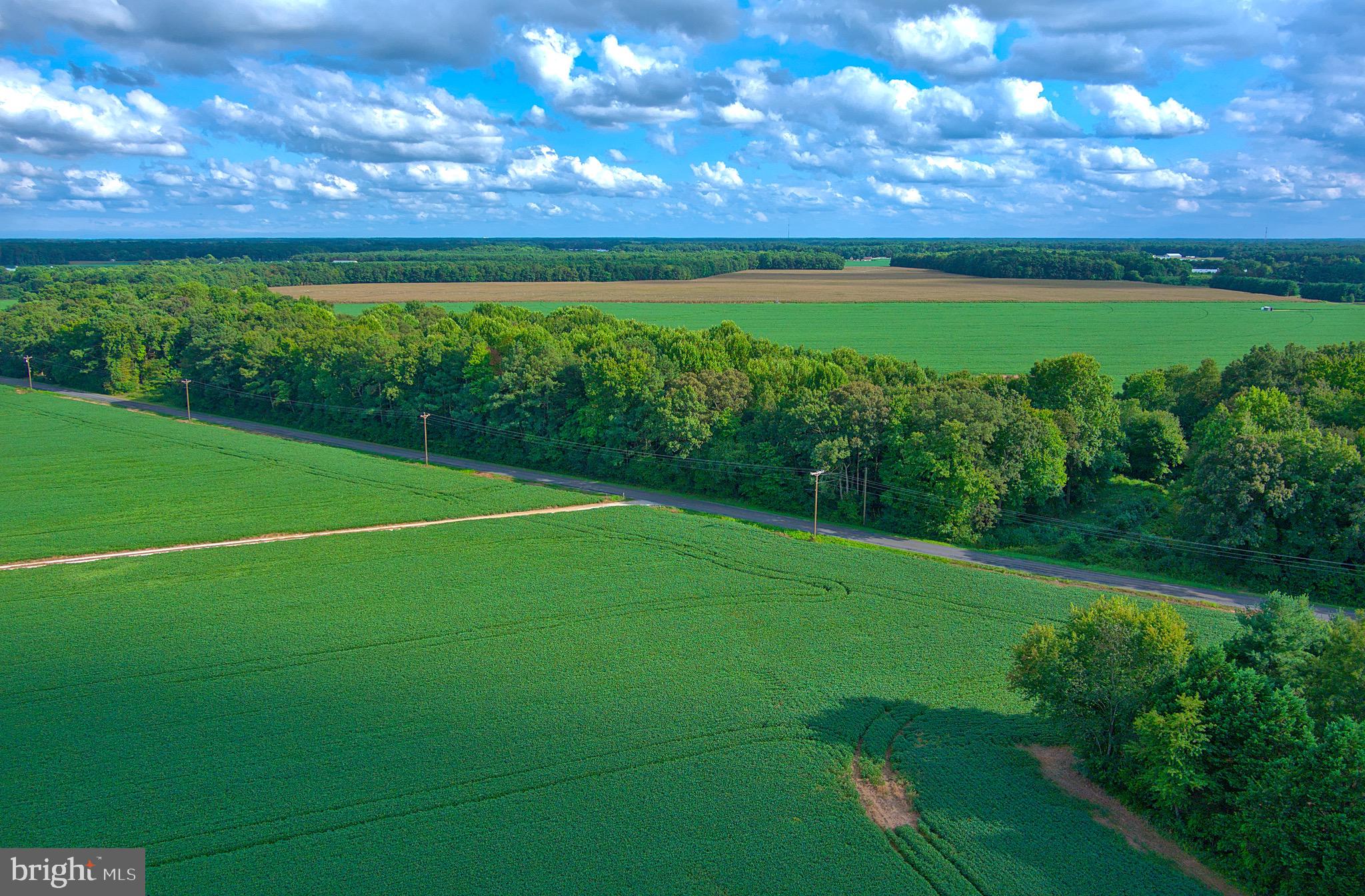 Iron Gate Road Federalsburg, MD 21632 - Photo 6 of 46 a view of a field with a big yard
