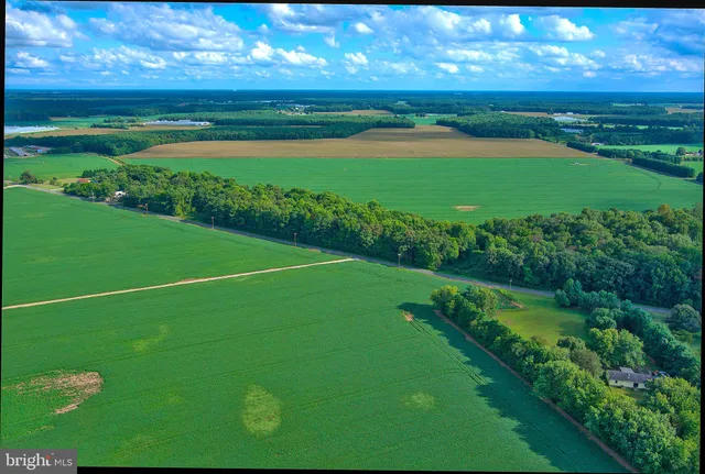 a view of a big yard with a garden
