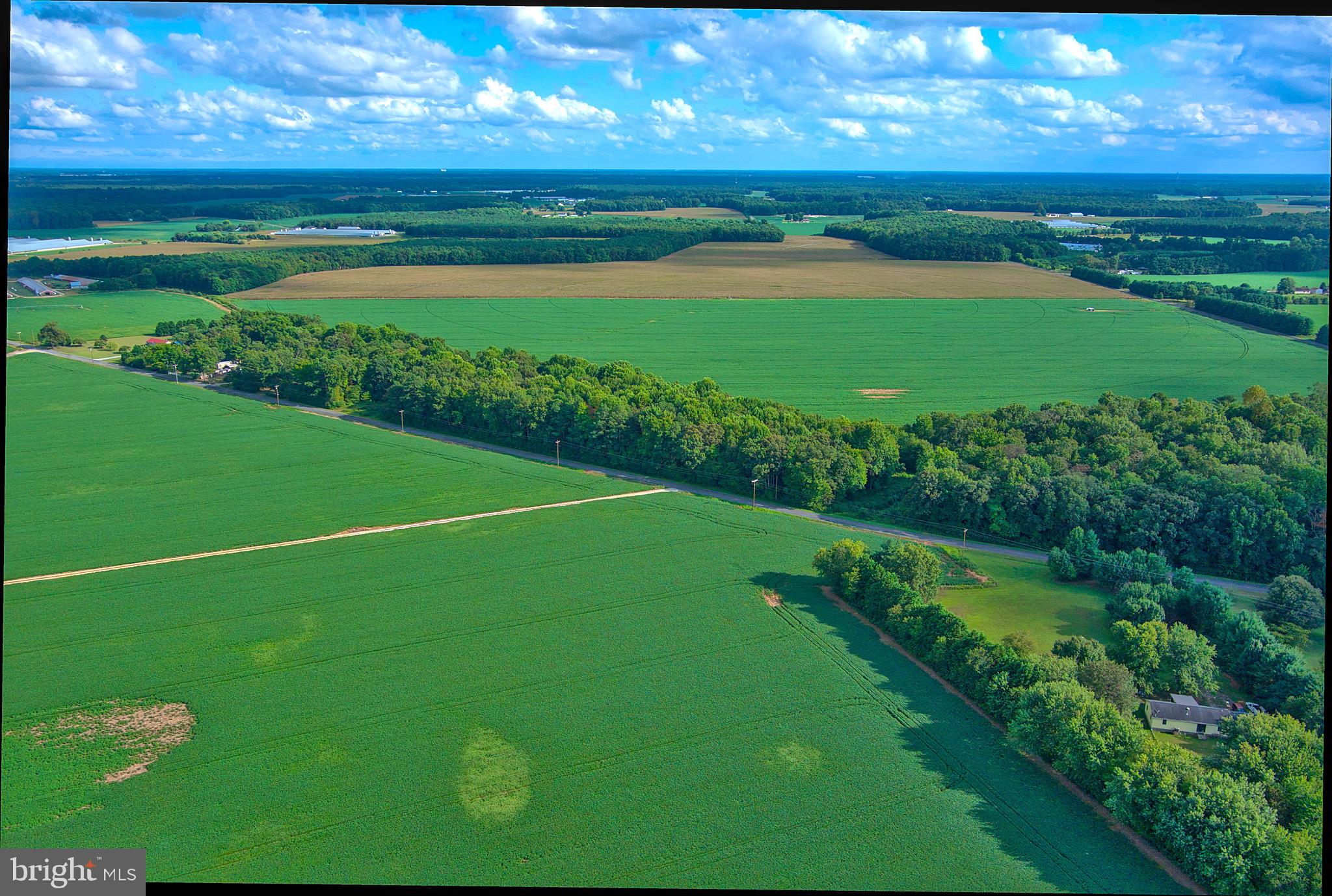 Iron Gate Road Federalsburg, MD 21632 - Photo 8 of 46 a view of a golf course with a big yard