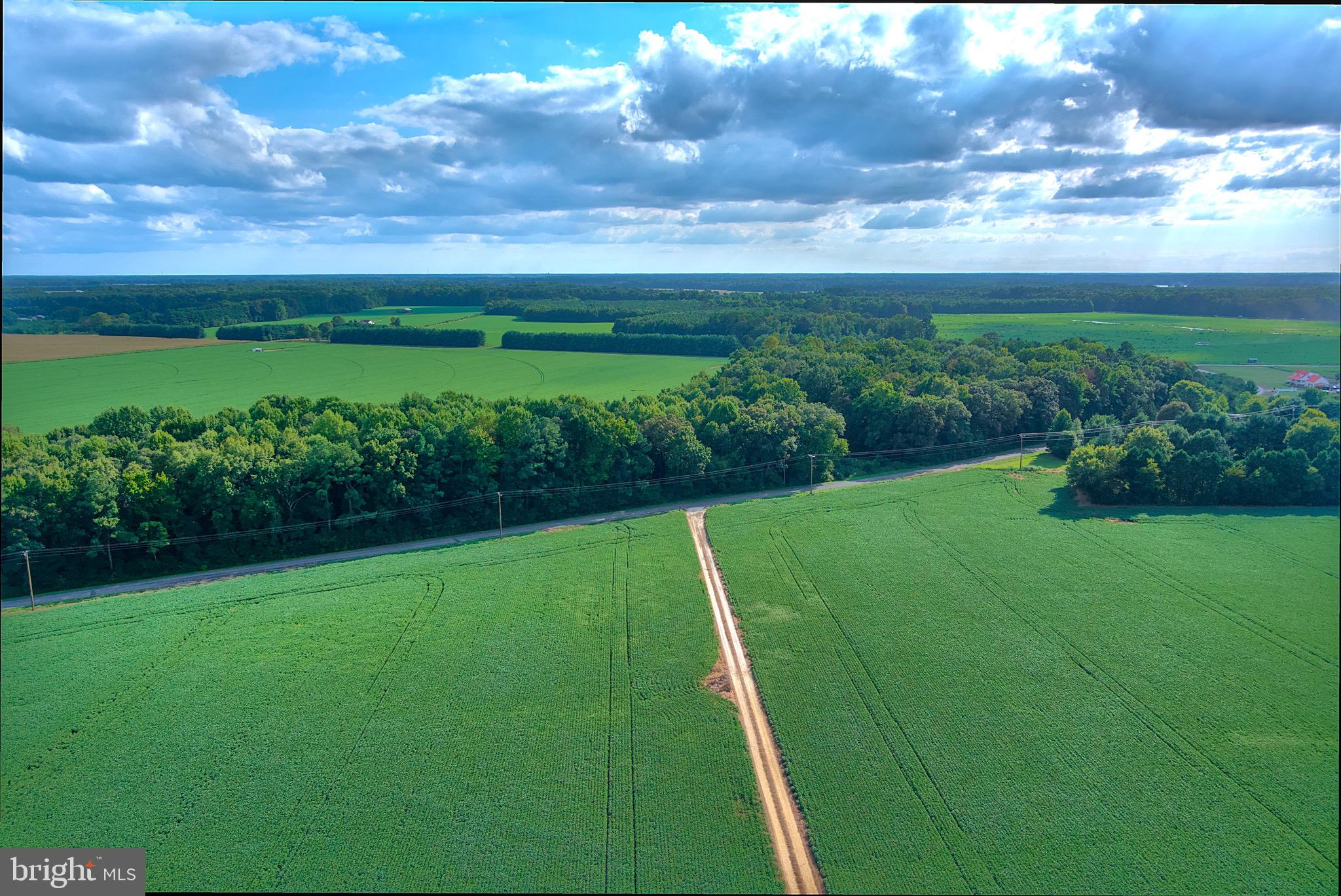 Iron Gate Road Federalsburg, MD 21632 - Photo 9 of 46 a view of a big yard with a garden
