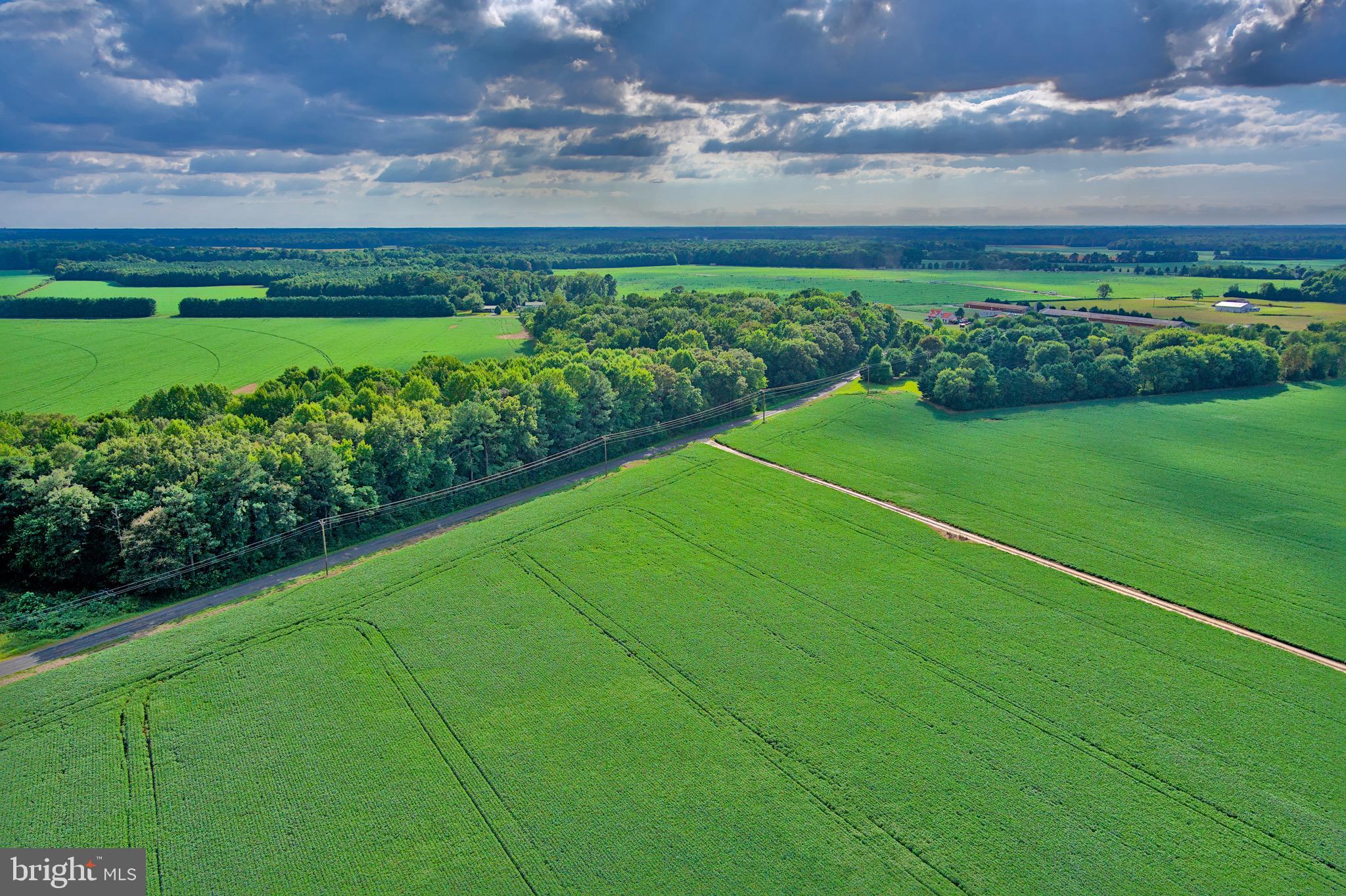 Iron Gate Road Federalsburg, MD 21632 - Photo 10 of 46 a view of a golf course with beach