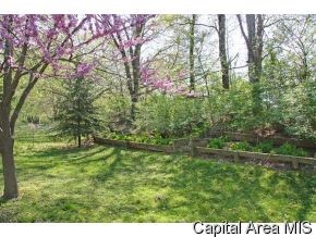 20 Woods Mill Road Sherman, IL 62684 - Photo 9 of 12 Gallery Image 9