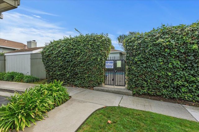 a view of a backyard with plants