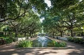 a view of a yard with plants and trees