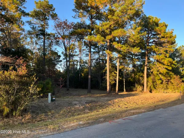 $22,500 | 625 Vandemere Creek Drive, Vandemere, NC 28587
