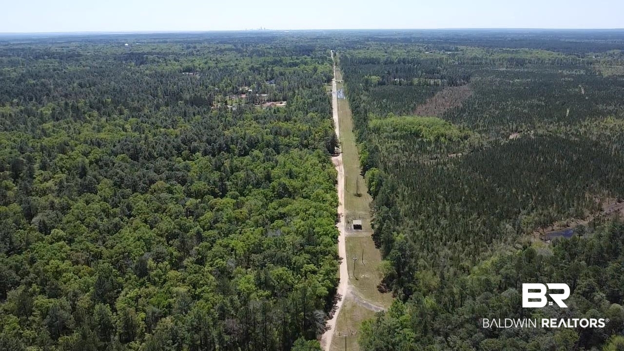 0 I-65 Service Road Creola, AL 36525 - Photo 2 of 20 Aerial view featuring a wooded view