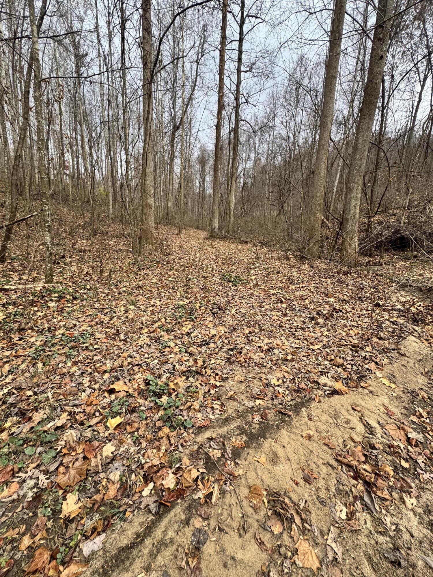 7099 Furnace Road Stanton, KY 40380 - Photo 10 of 13 IMG_5869