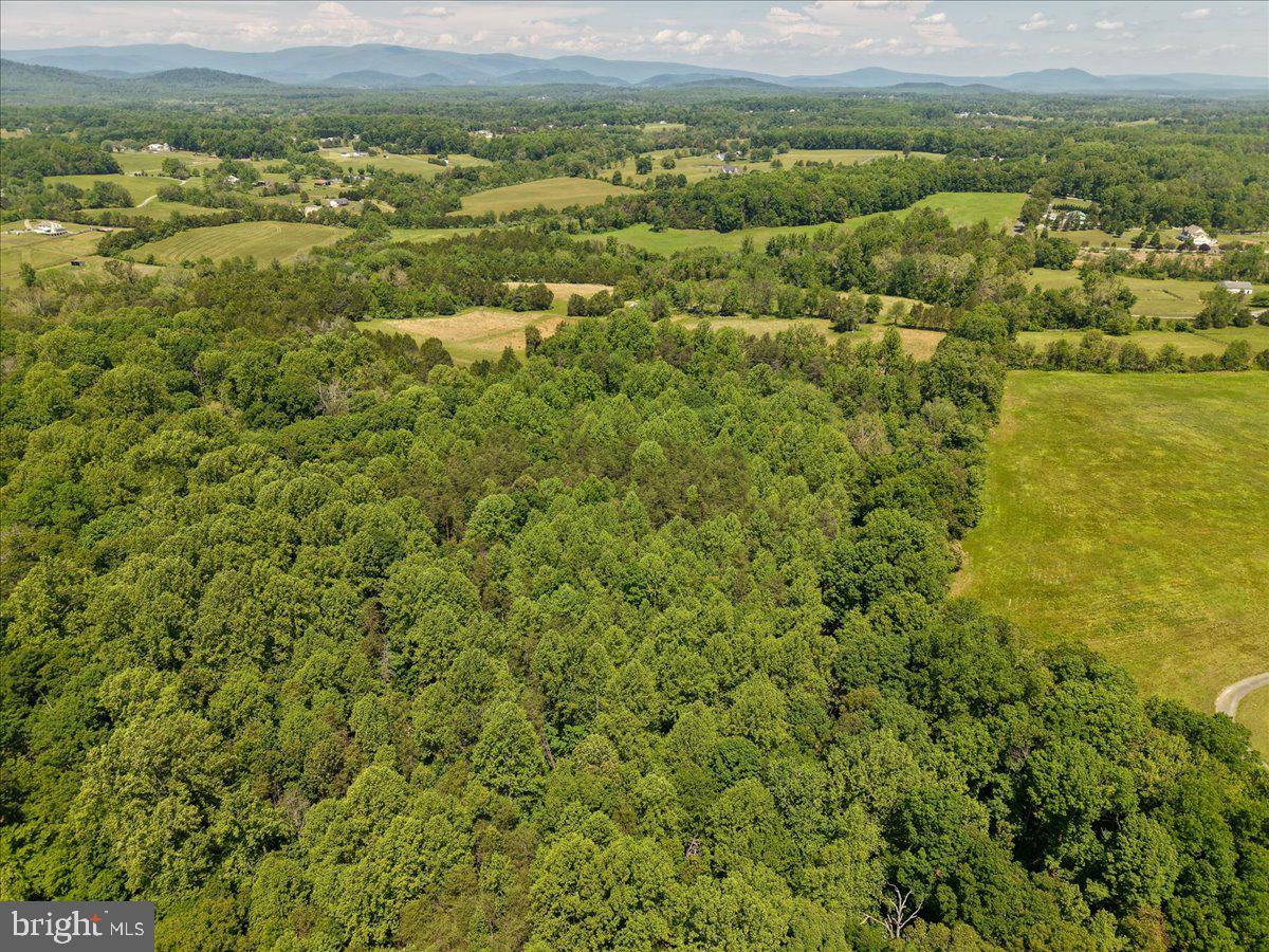 4266 Indian Run Road Amissville, VA 20106 - Photo 15 of 17 a view of a city with lush green forest