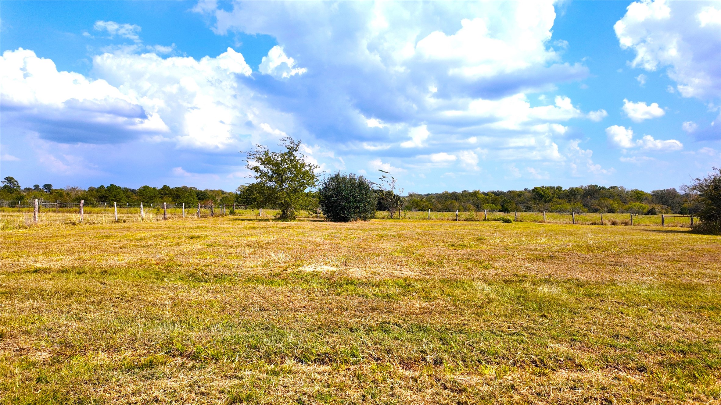 2974 County Road 213 Anderson, TX 77830 - Photo 13 of 50 a view of an ocean view