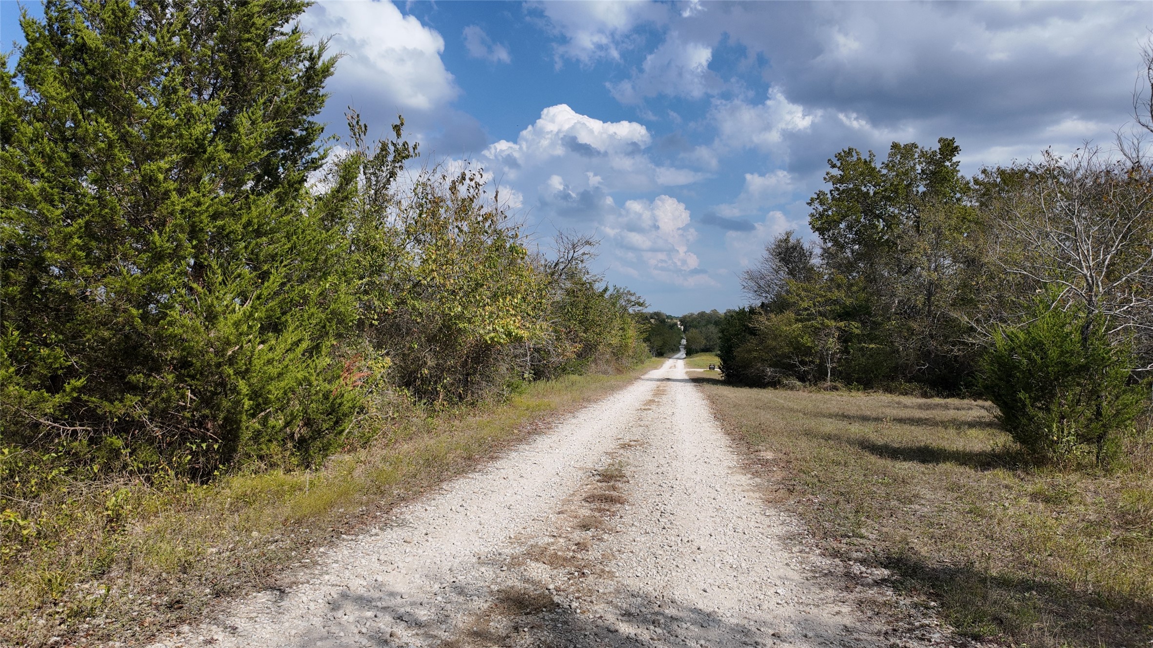 2974 County Road 213 Anderson, TX 77830 - Photo 50 of 50 a view of a yard with plants and trees