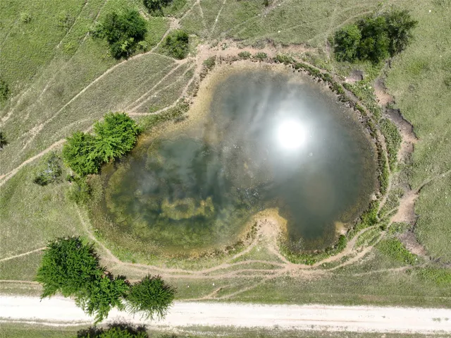 a view of a indoor plant