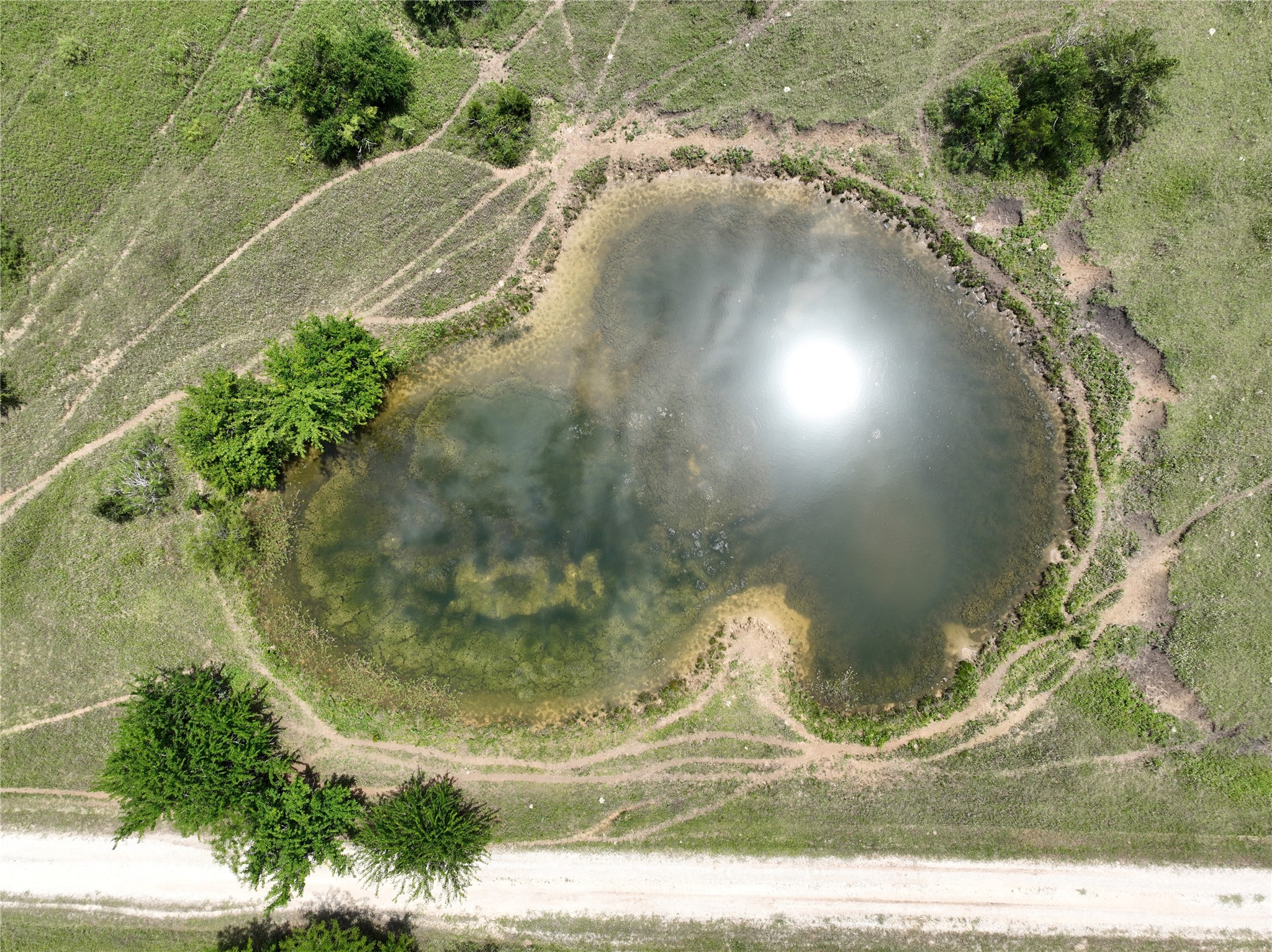 2974 County Road 213 Anderson, TX 77830 - Photo 7 of 50 a view of a indoor plant