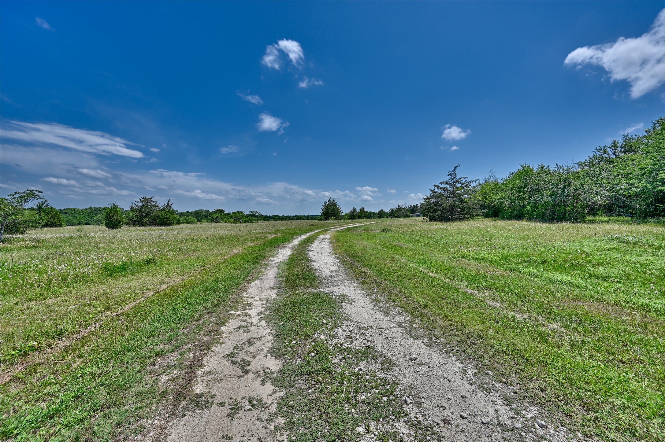 2974 County Road 213 Anderson, TX 77830 - Photo 8 of 50 a view of a golf course with a yard