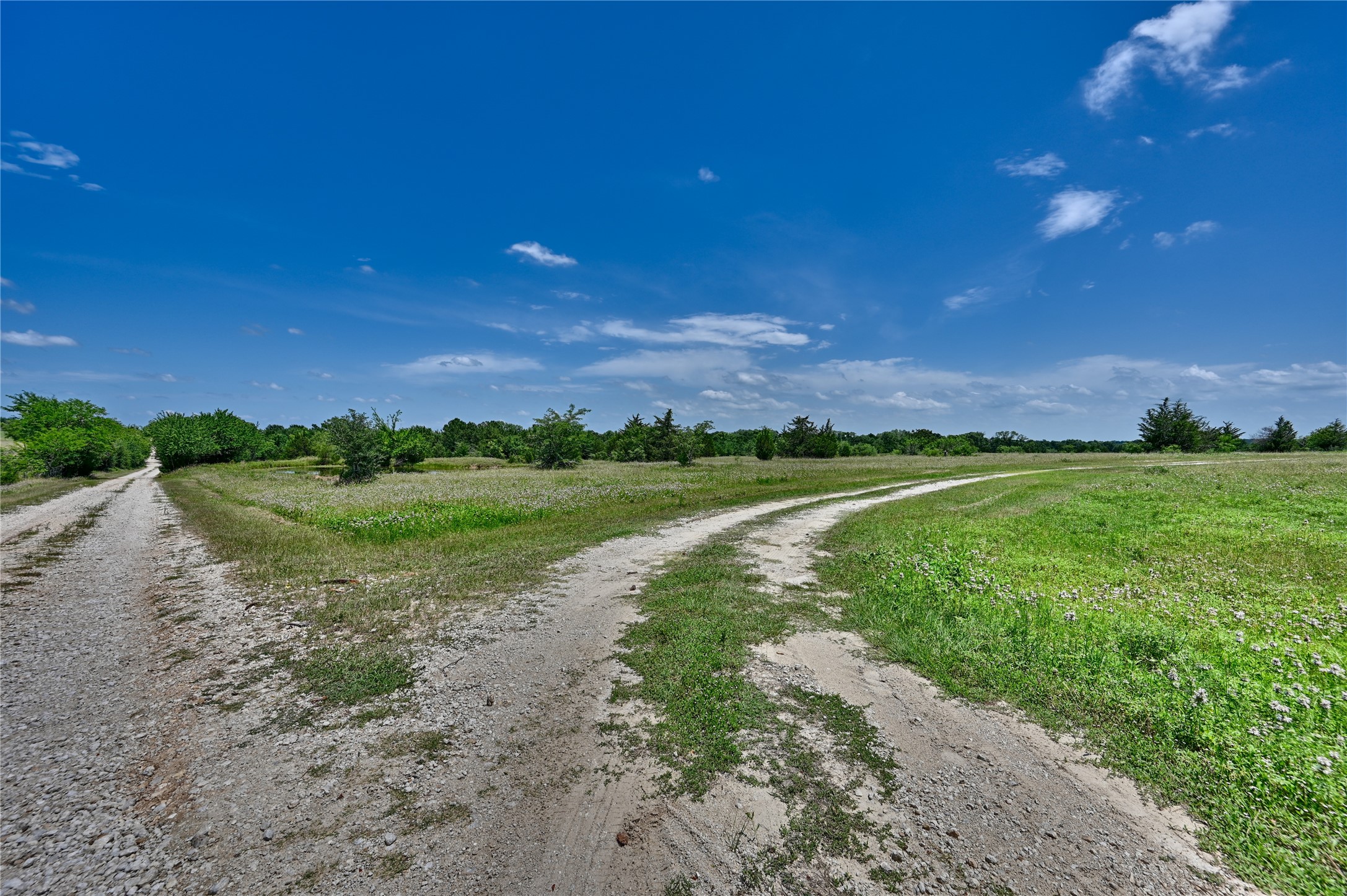 2974 County Road 213 Anderson, TX 77830 - Photo 9 of 50 a view of a lake with a yard