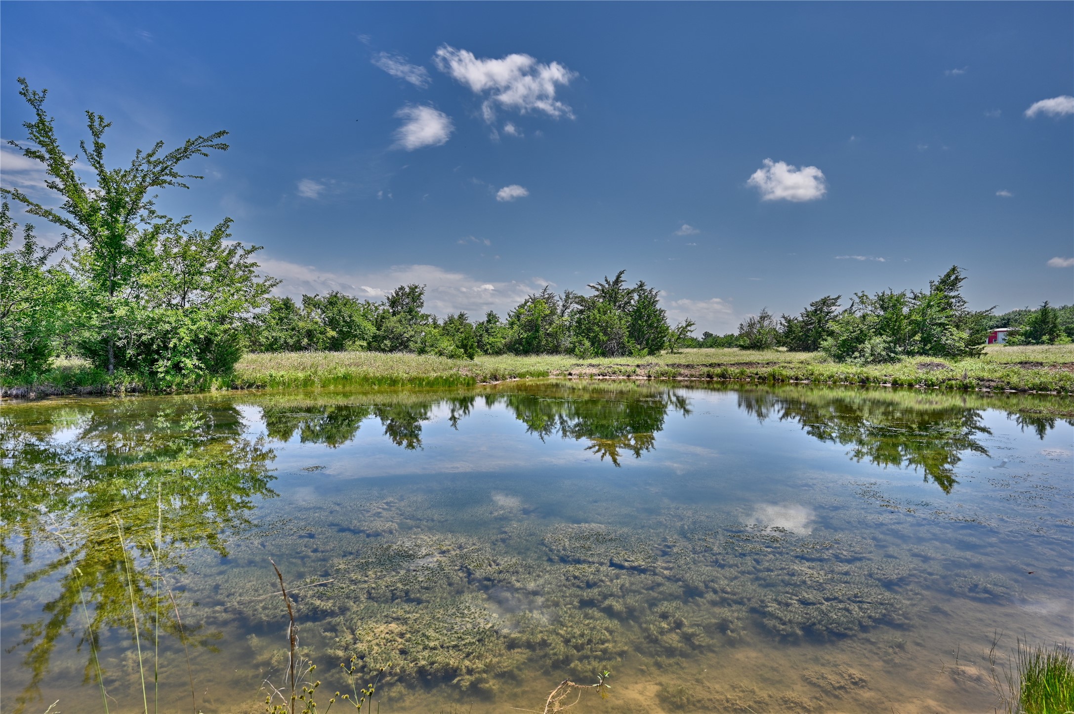 2974 County Road 213 Anderson, TX 77830 - Photo 10 of 50 a view of a lake with a big yard
