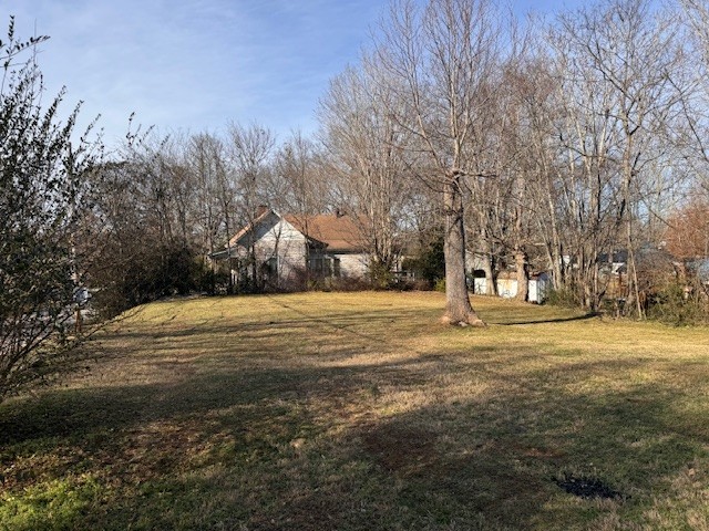 139 Columbia Avenue Centerville, TN 37033 - Photo 6 of 44 a view of road and trees