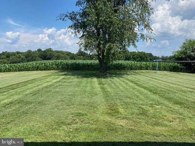 840 Broad Ext Street Delta, PA 17314 - Photo 7 of 27 Back yard view overlooking farm land