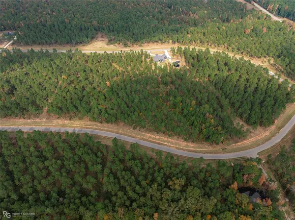 a view of a yard with a trees