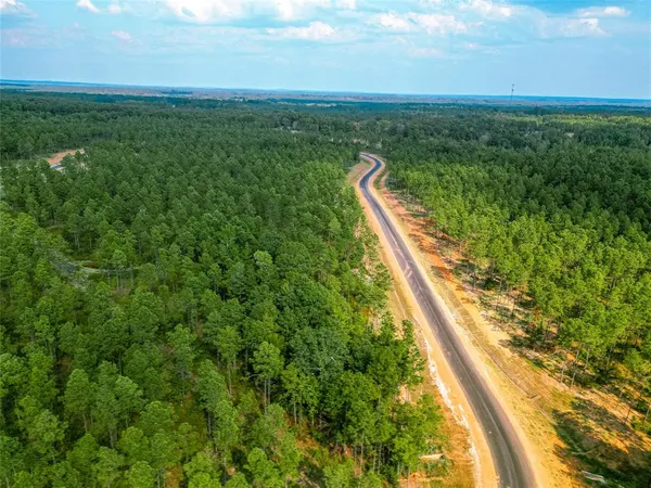 a view of a yard with a forest
