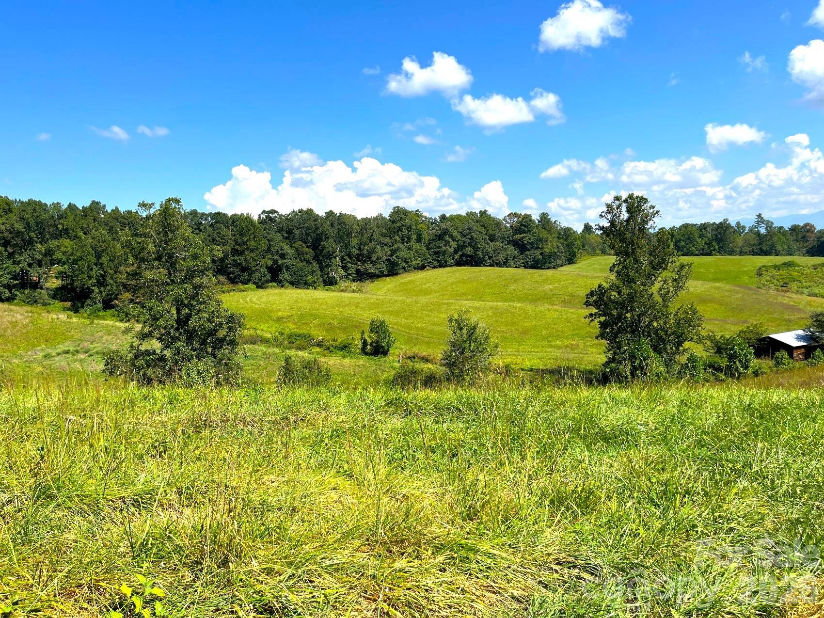 0 Don Felmet Road Marshall, NC 28753 - Photo 10 of 20 Gallery Image 10