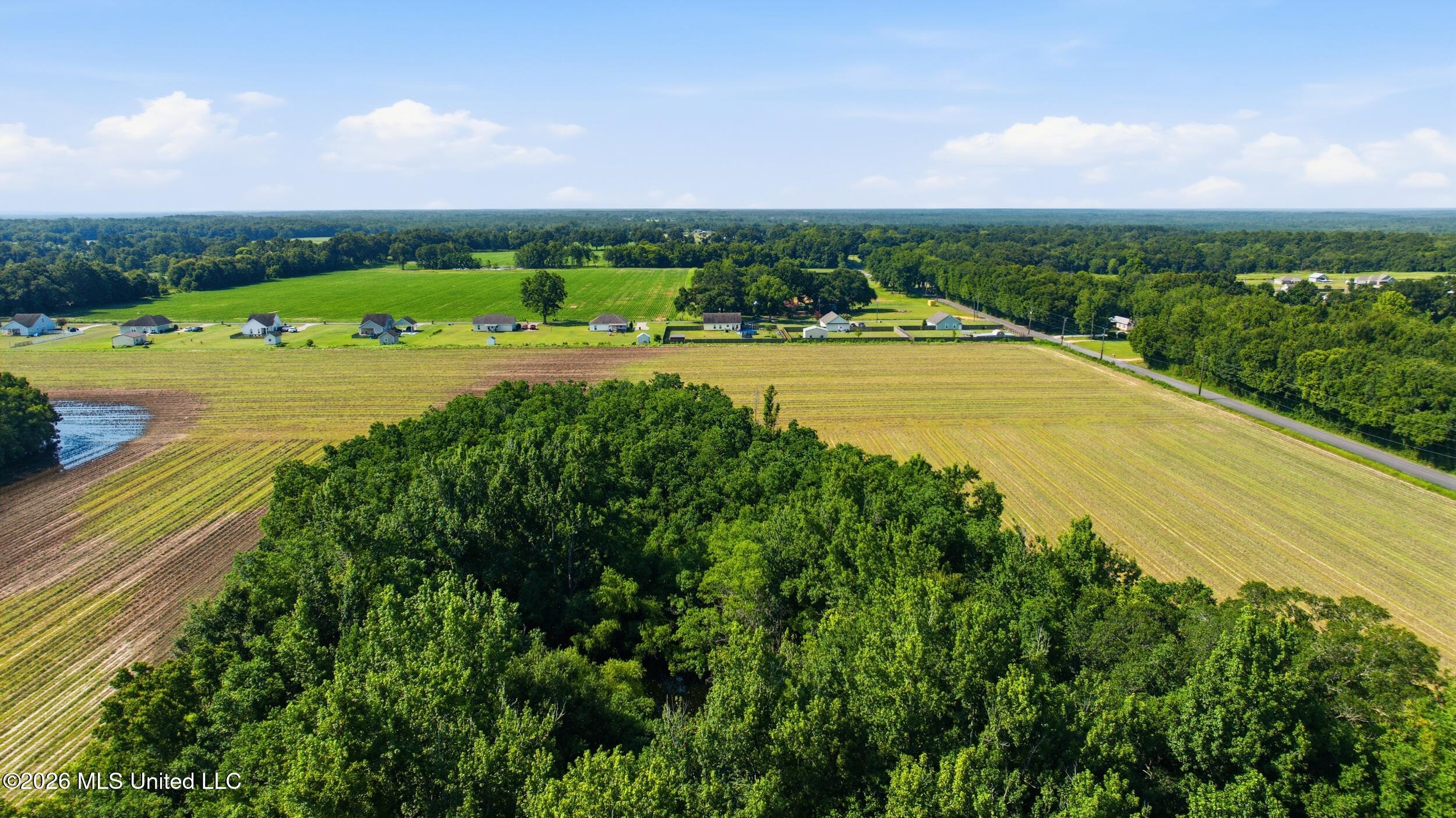 28-acres Harmon Pope Road Lucedale, MS 39452 - Photo 28 of 43 dji_20260628001304_0151_d