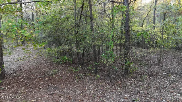 $48,900 | 9426 Highway 315, Como, MS 38619