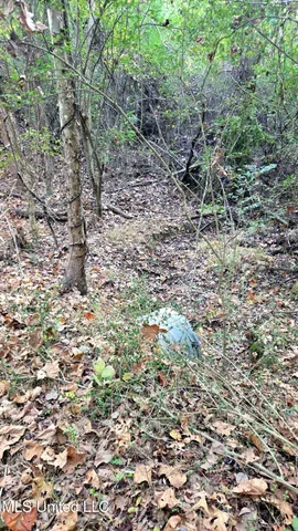 $48,900 | 9426 Highway 315, Como, MS 38619