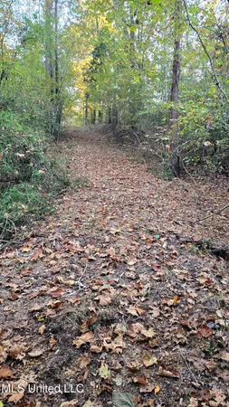 $48,900 | 9426 Highway 315, Como, MS 38619