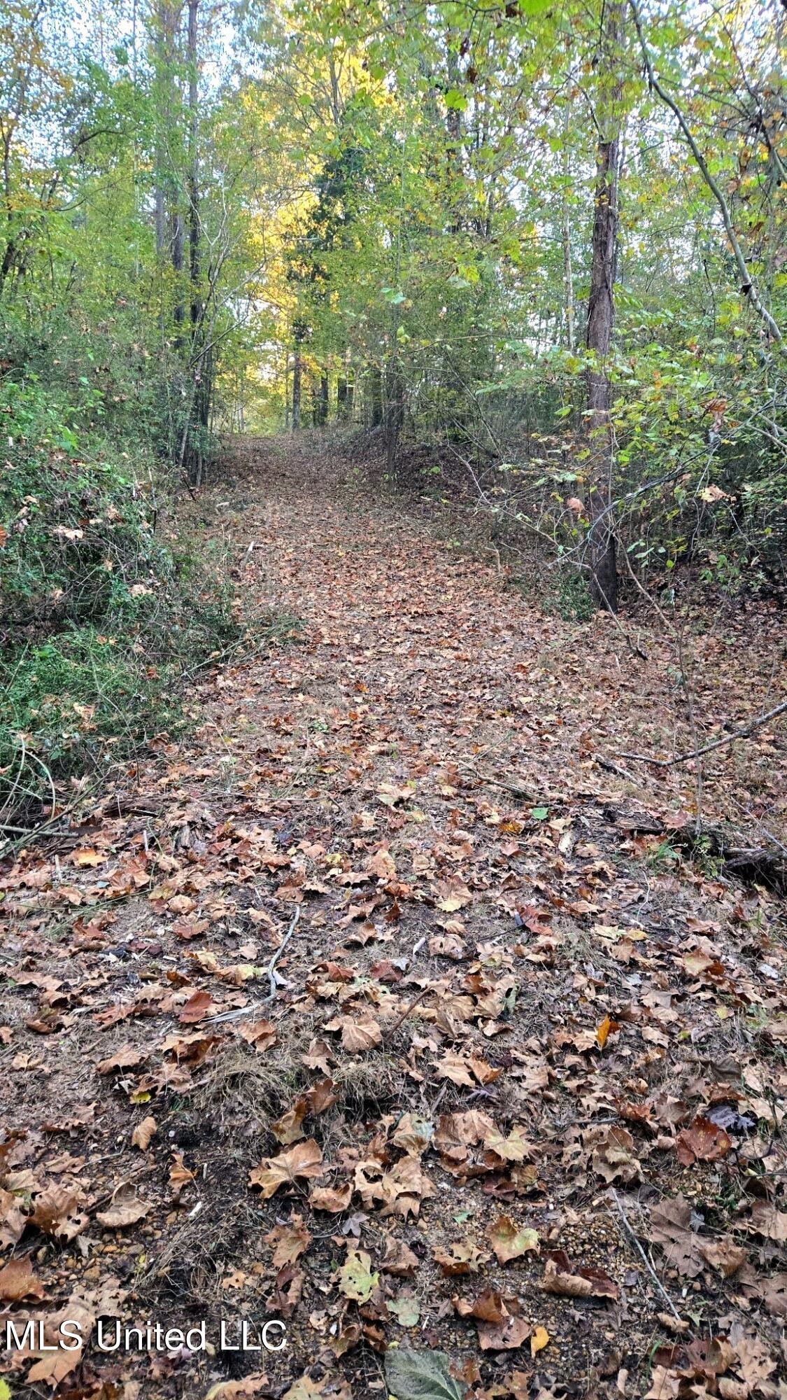 9426 Highway 315 Como, MS 38619 - Photo 12 of 18 12