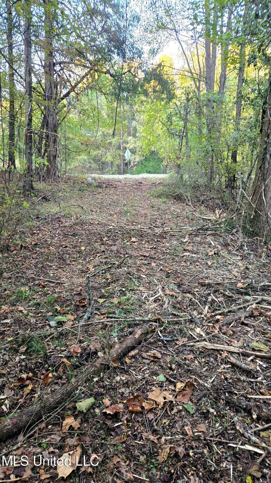 9426 Highway 315 Como, MS 38619 - Photo 13 of 18 13