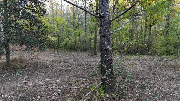 $48,900 | 9426 Highway 315, Como, MS 38619