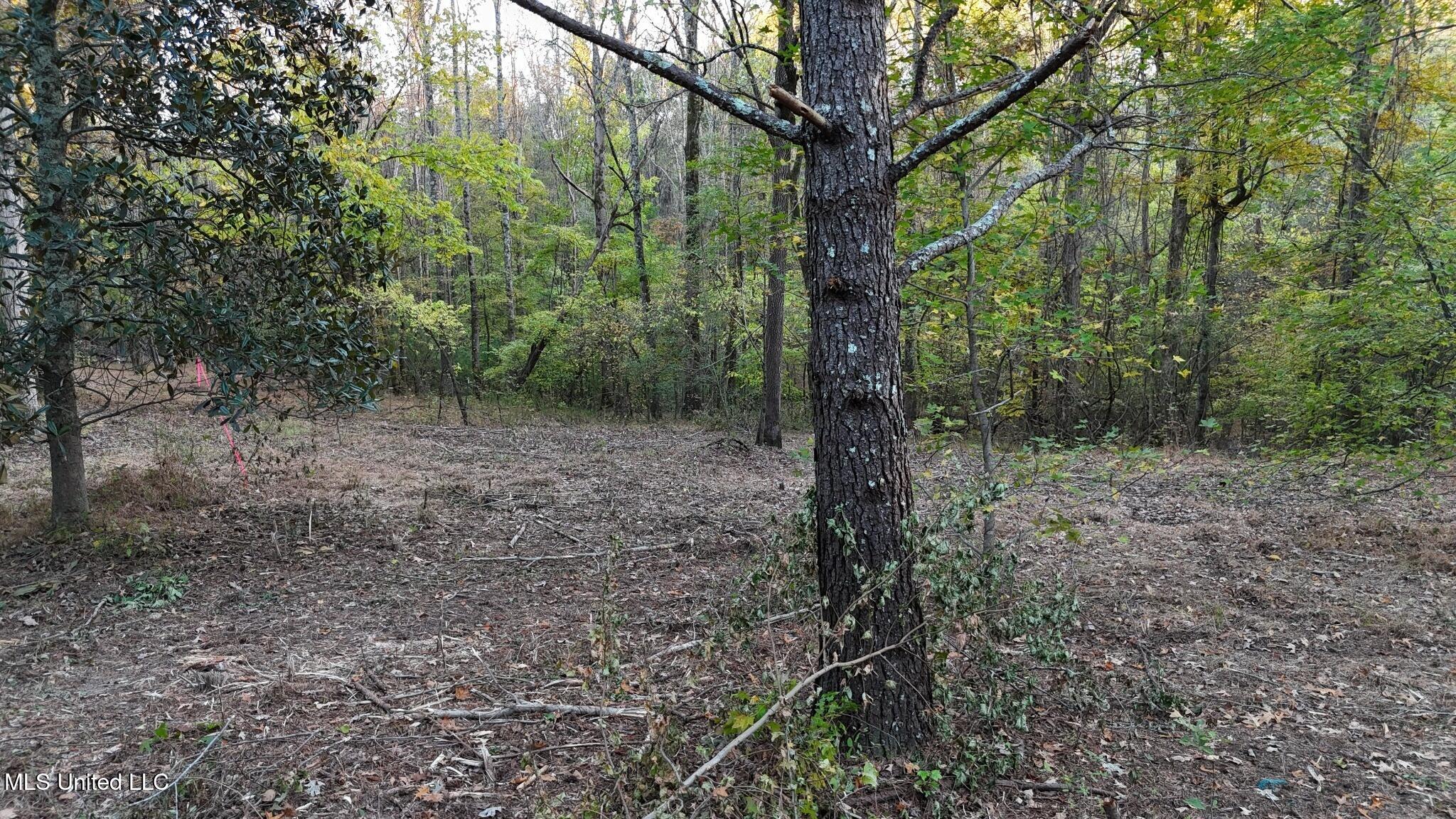 9426 Highway 315 Como, MS 38619 - Photo 15 of 18 15