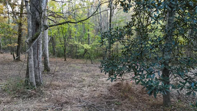 $48,900 | 9426 Highway 315, Como, MS 38619