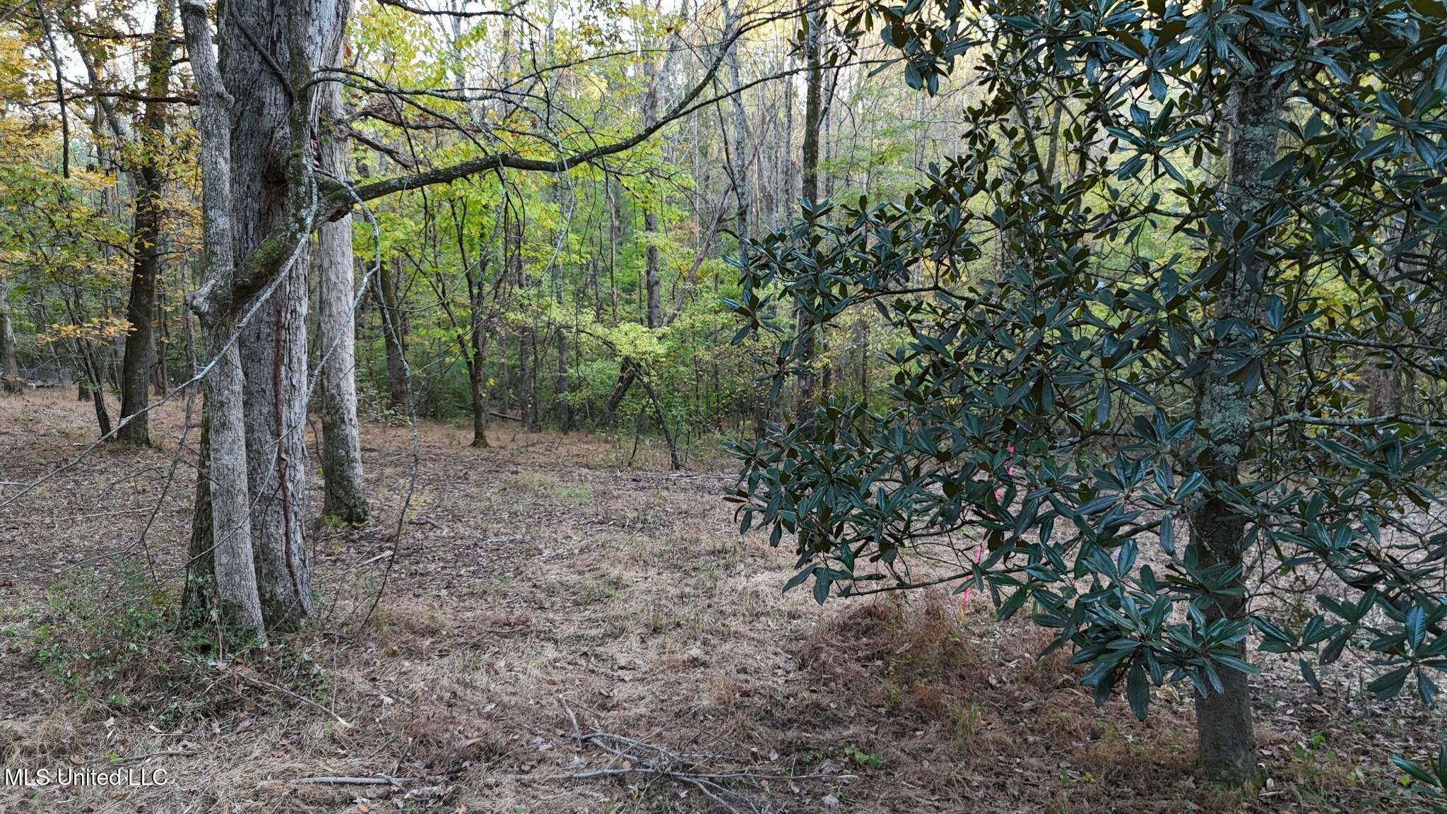 9426 Highway 315 Como, MS 38619 - Photo 16 of 18 16