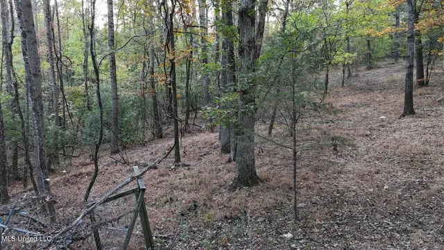 $48,900 | 9426 Highway 315, Como, MS 38619