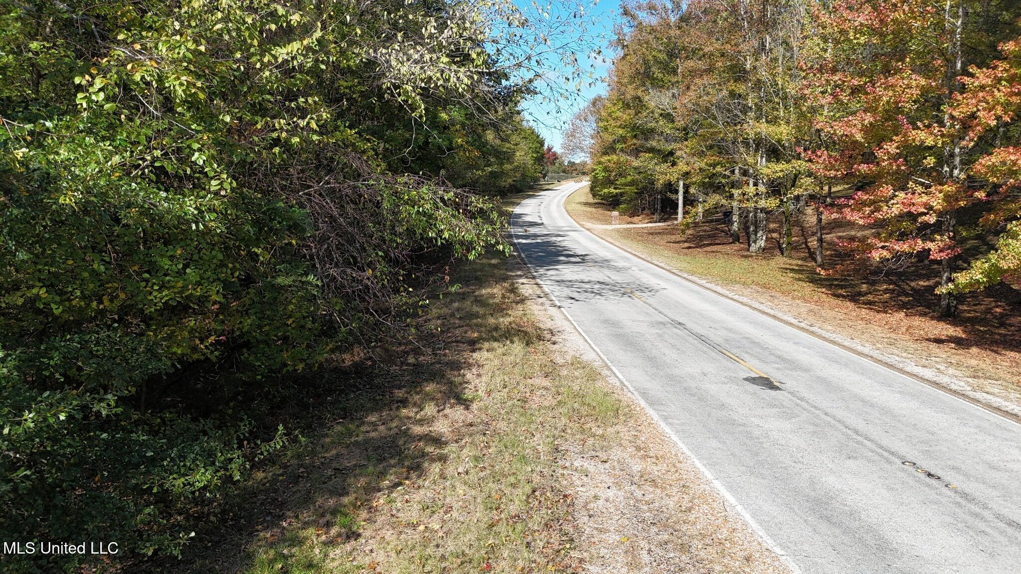 9426 Highway 315 Como, MS 38619 - Photo 4 of 18 4