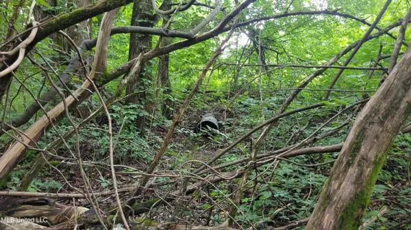 $48,900 | 9426 Highway 315, Como, MS 38619