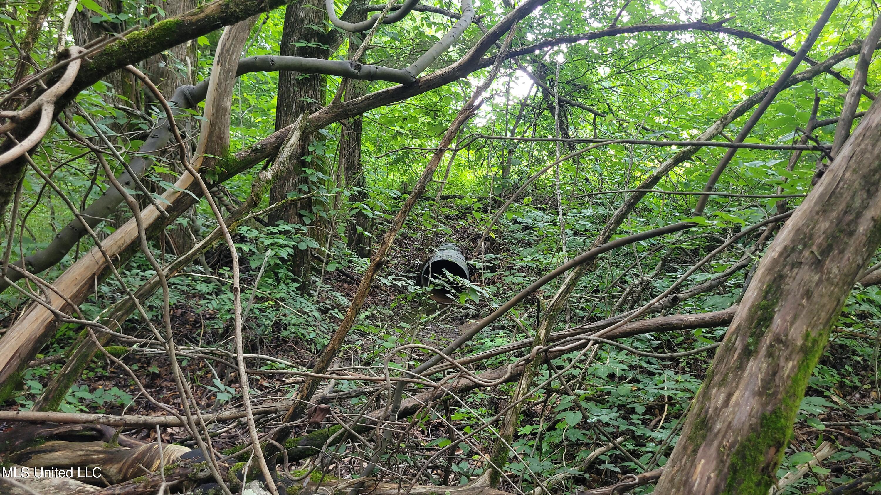 9426 Highway 315 Como, MS 38619 - Photo 5 of 18 5