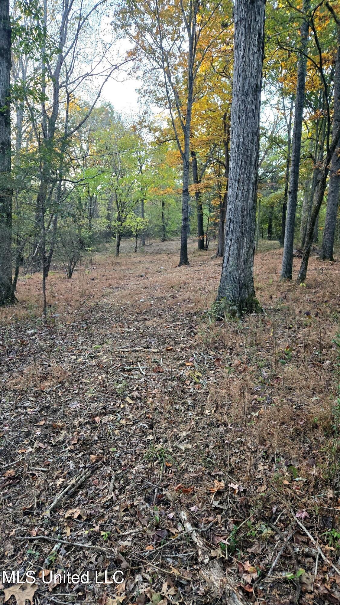 9426 Highway 315 Como, MS 38619 - Photo 8 of 18 8