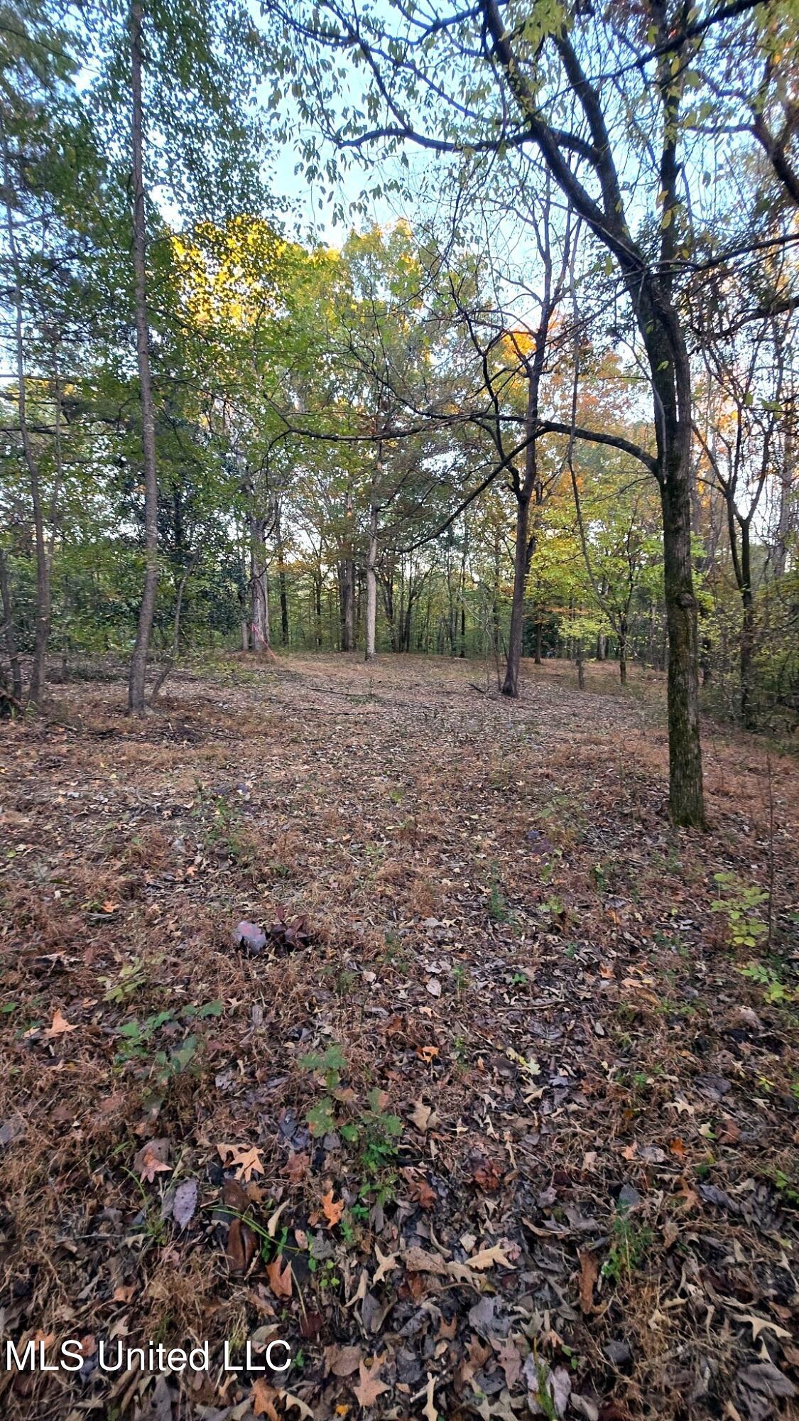 9426 Highway 315 Como, MS 38619 - Photo 9 of 18 9