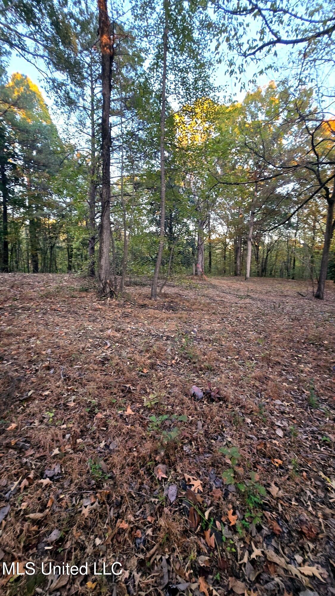 9426 Highway 315 Como, MS 38619 - Photo 10 of 18 10