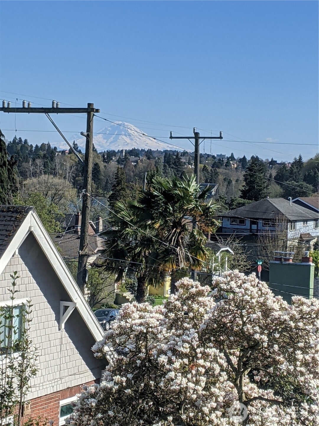 751 North 71st Street Seattle, WA 98103 - Photo 21 of 30