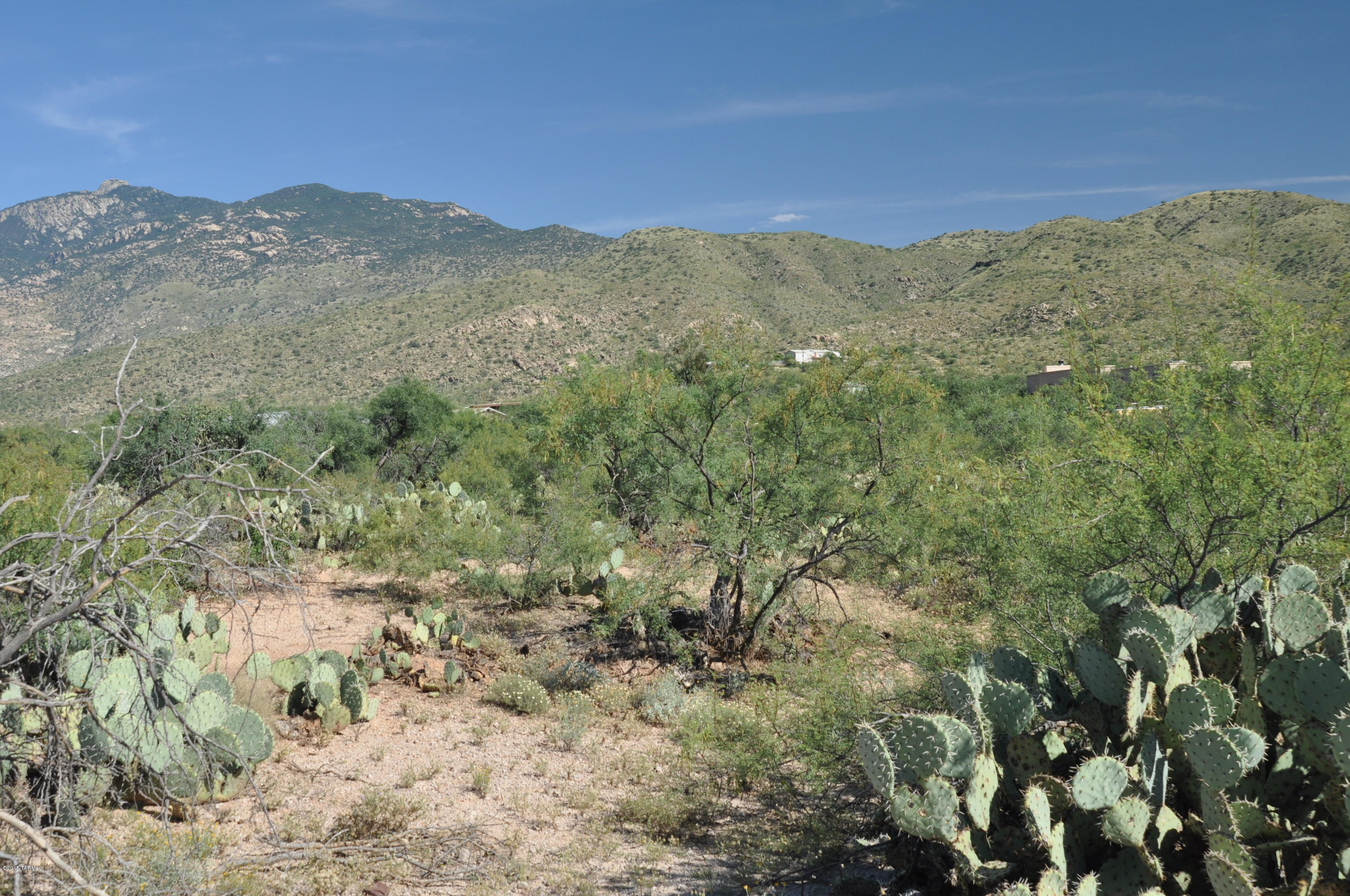 7542 South Pistol Hill Road Vail, AZ 85641 - Photo 9 of 16