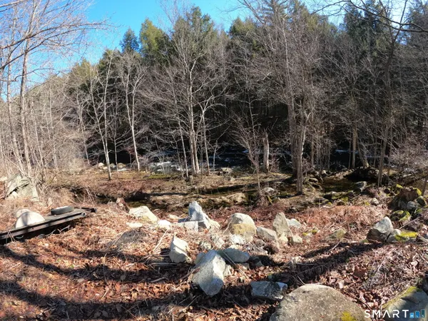 a view of water covered with trees