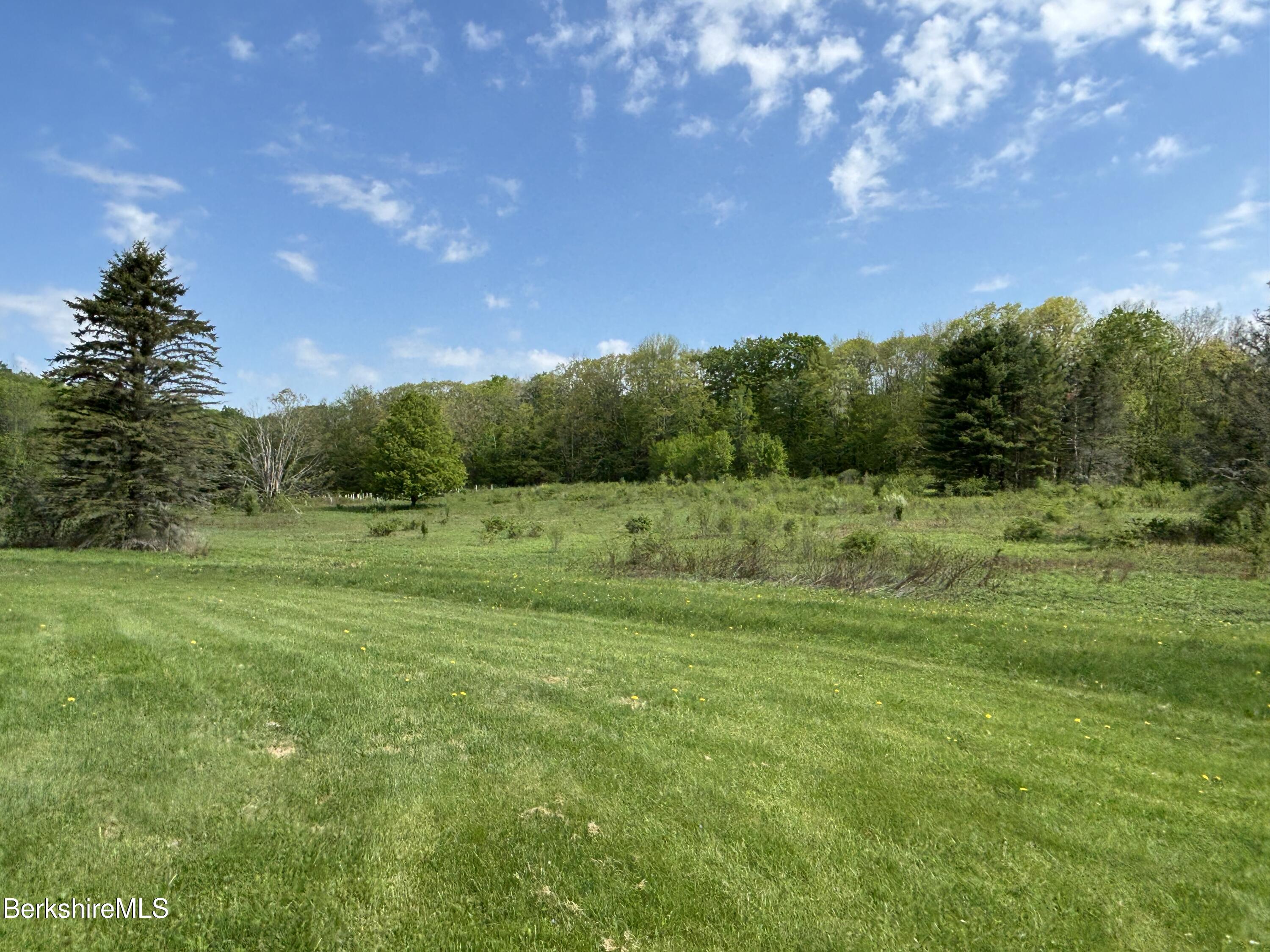 86 Miner Road Lanesborough, MA 01237 - Photo 20 of 44 a view of a grassy field with trees in the background