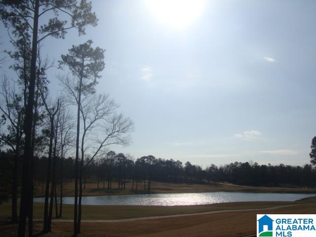 1056 Seminole Place Calera, AL 35040 - Photo 25 of 41