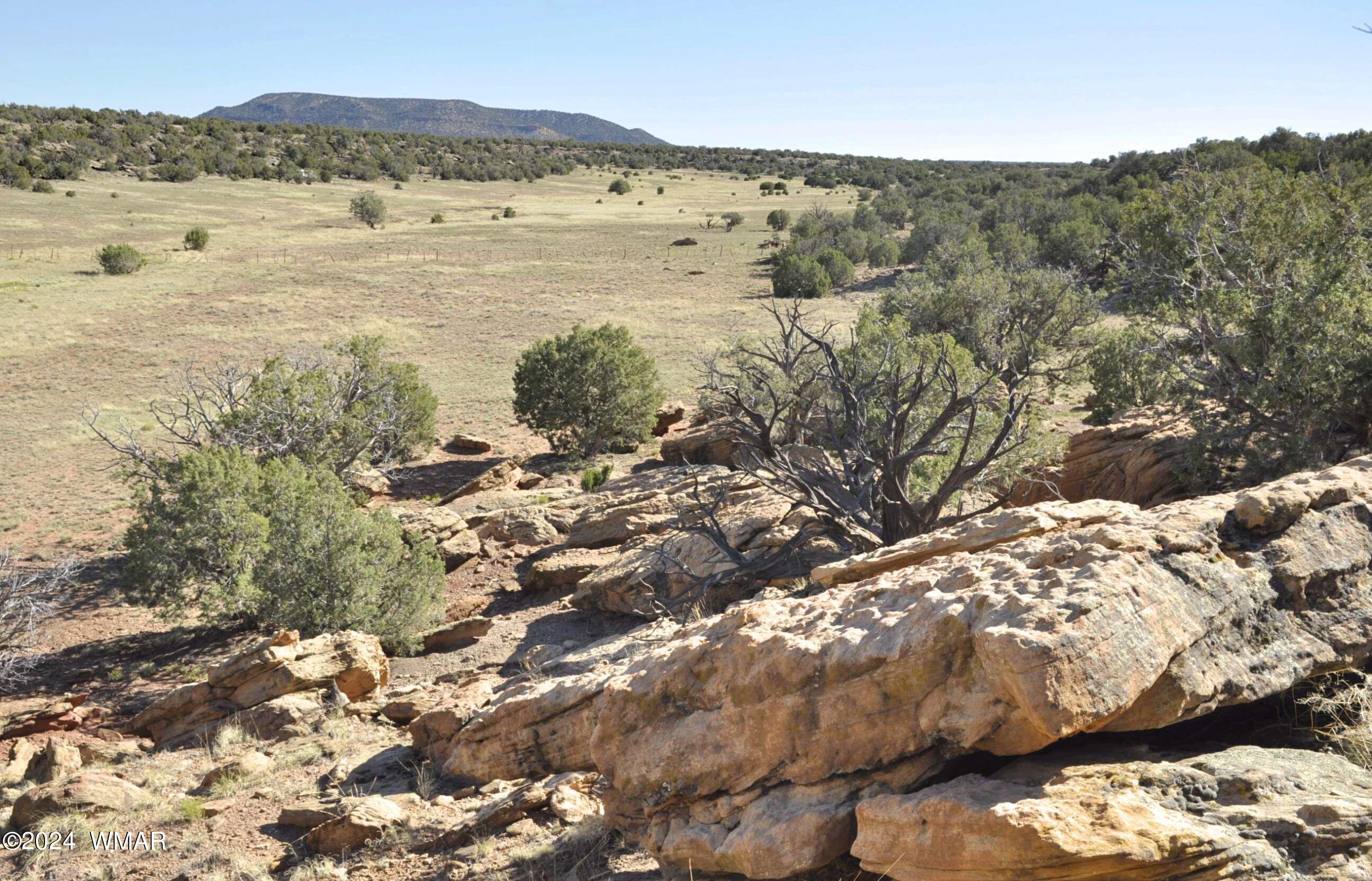 20 N8564 Concho, AZ 85924 - Photo 25 of 28