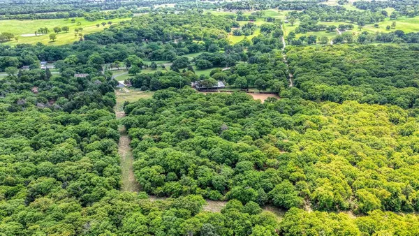 a view of a forest with a street