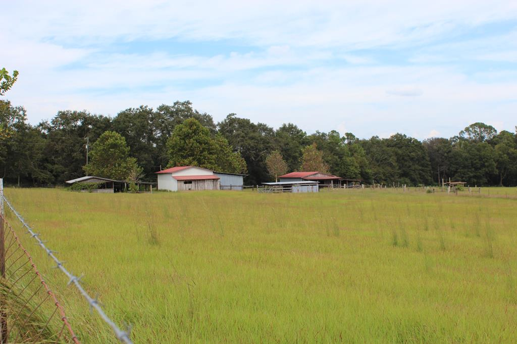 2498 Tindil Creek Road Slocomb, AL 36375 - Photo 33 of 49 Property View